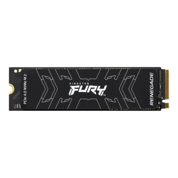 Disco SSD 1TB NVMe PCIe 4.0 Fury Renegade 7300mb/s SFYRS/1000G img-1