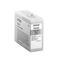 Epson Sc P800 Llk 80Ml (MPN T850900, Suministros para impresoras) img-1