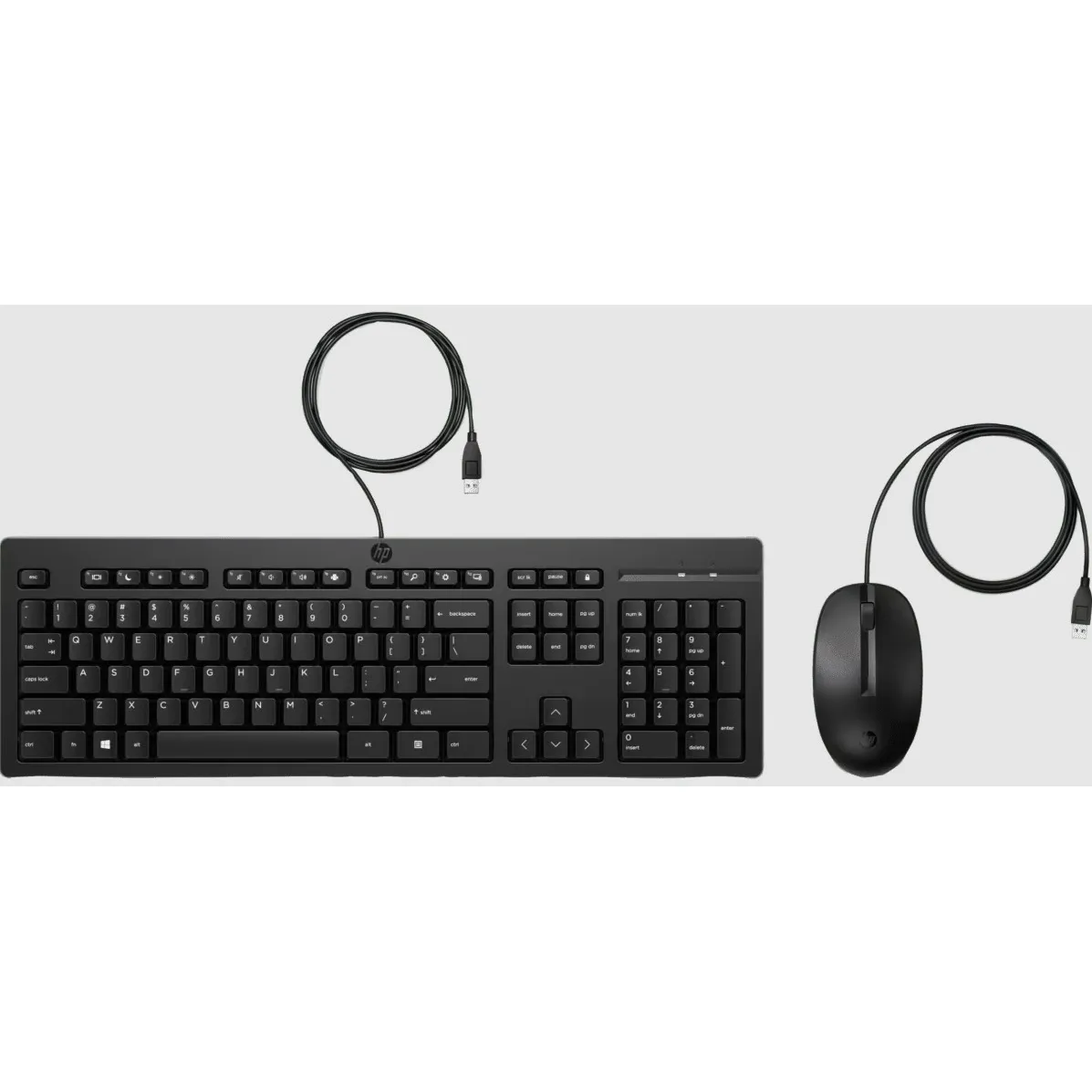 Hp Teclado And Mouse Set Spanish Wired (MPN AX2Y7AA, Kit Teclado y Mouse) img-1