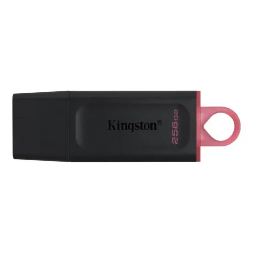 Kingston Datatraveler Exodia Unidad Flash Usb 256 Gb Usb 3.2 Gen 1 Negro/Rosa DTX/256GB img-1