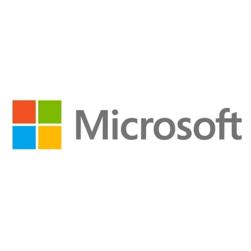 Microsoft Windows Server Standard 2022 P73-08338 img-1