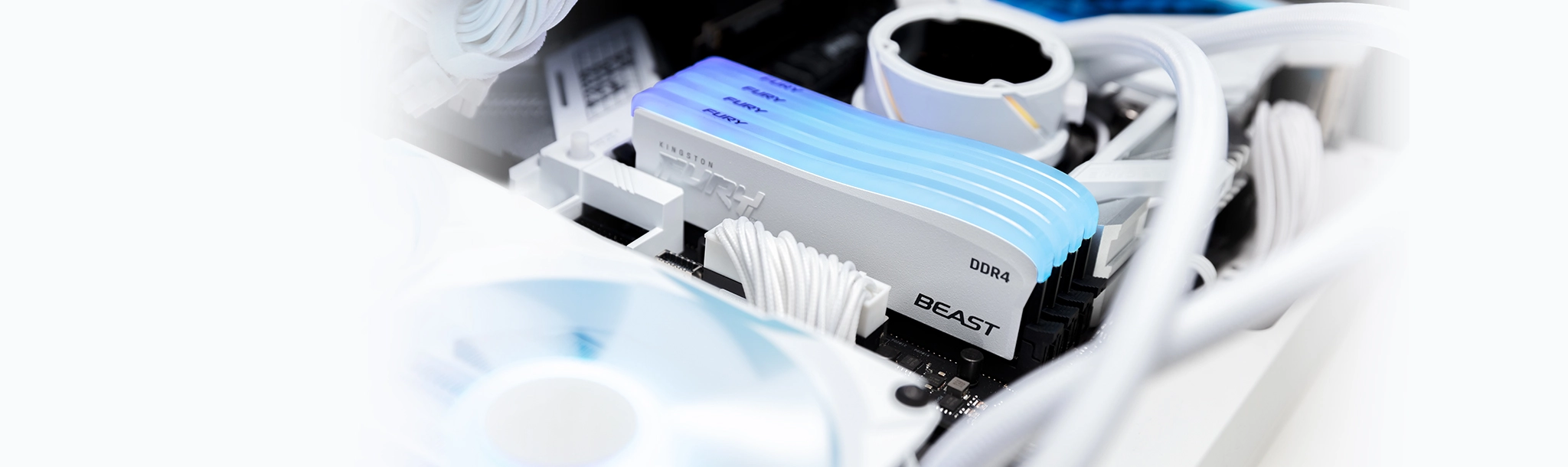 ktc keyfeatures memory beast ddr4 rgb se 3 lg